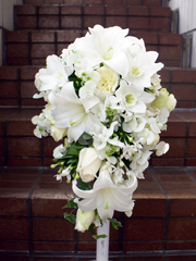 新宿立体押し花ミルフィーユモカブラウン