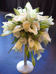 新宿白フィガロドームタイプ