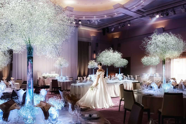 ベビーブレス(かすみ草)のコーディネート